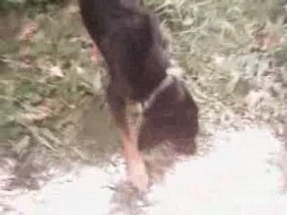 Chico 009