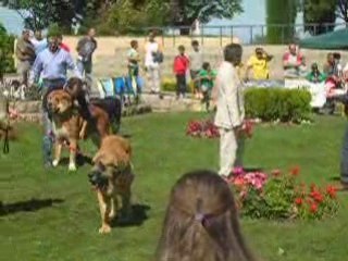 Valencia de Don Juan sept 2008 nilo089