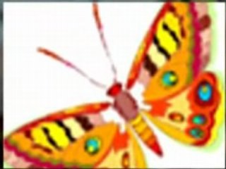 Butterfly Tattoo Designs