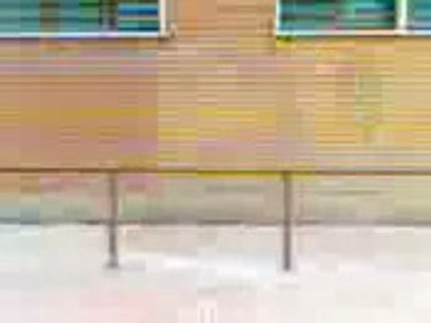 Parkour fals and shas