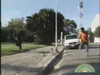 Camera cache - Gorille en plein centre ville !