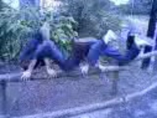 les minimoyes qui fon de la break dance