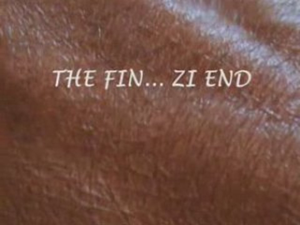 THE FIN... ZI END