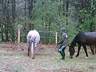 flambor et ma jument chipie qui va à toute alure !!!