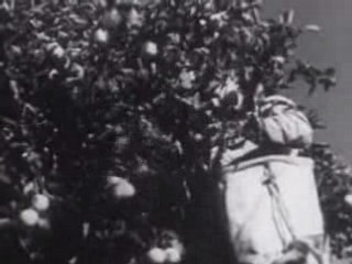 Brazil in World War II Ridiculous US Propaganda Movie Film