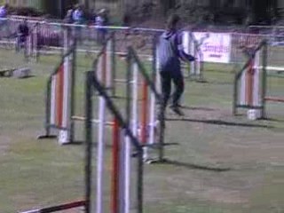Agility belgique vidéooo