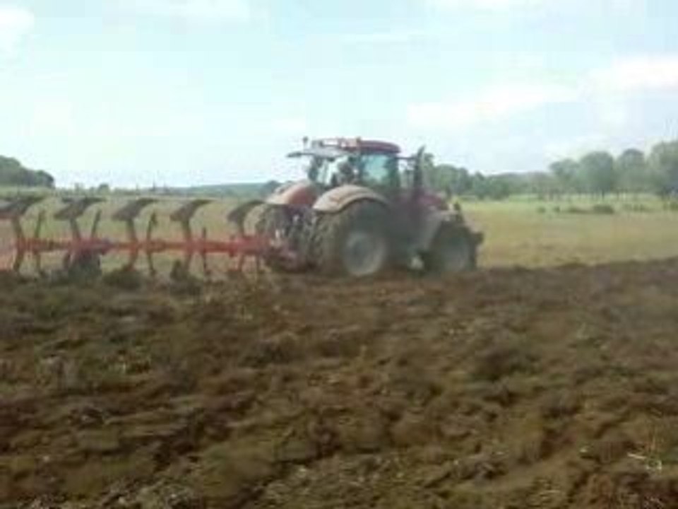 Puma au labour!!!2!!