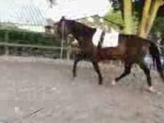 Trot main gauche
