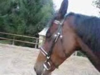 Detente fin de seance