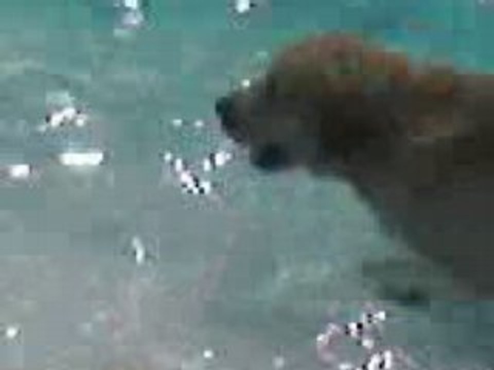Video0026