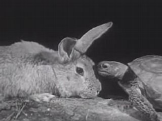 The Hare and the Tortoise in Live Action Vintage ...