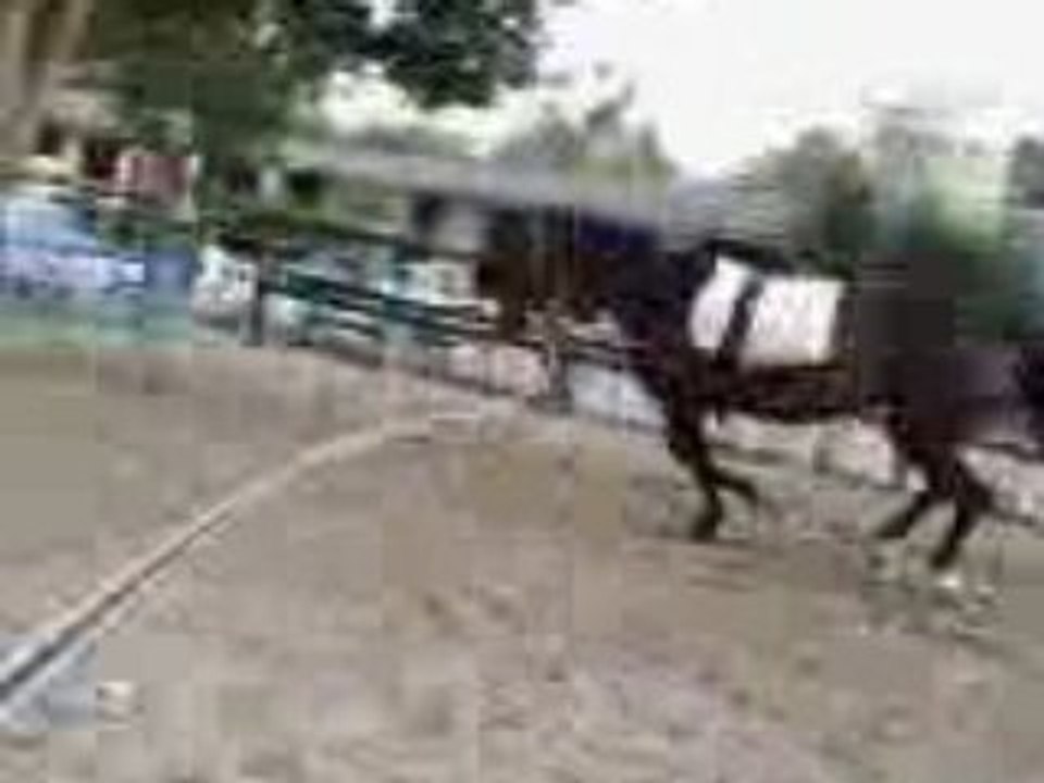 Galop main gauche