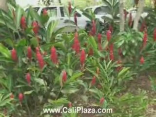 Cali Colombia Country Club, Golf Course and Tennis Courts