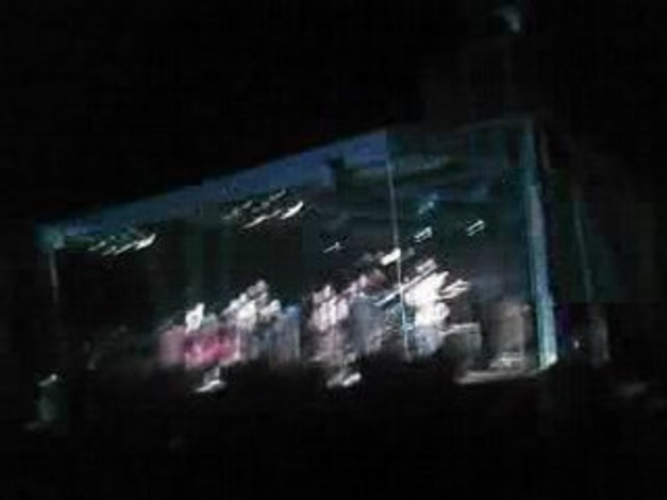 Concert Naheulband- Franceville-Merville 2008 [03]