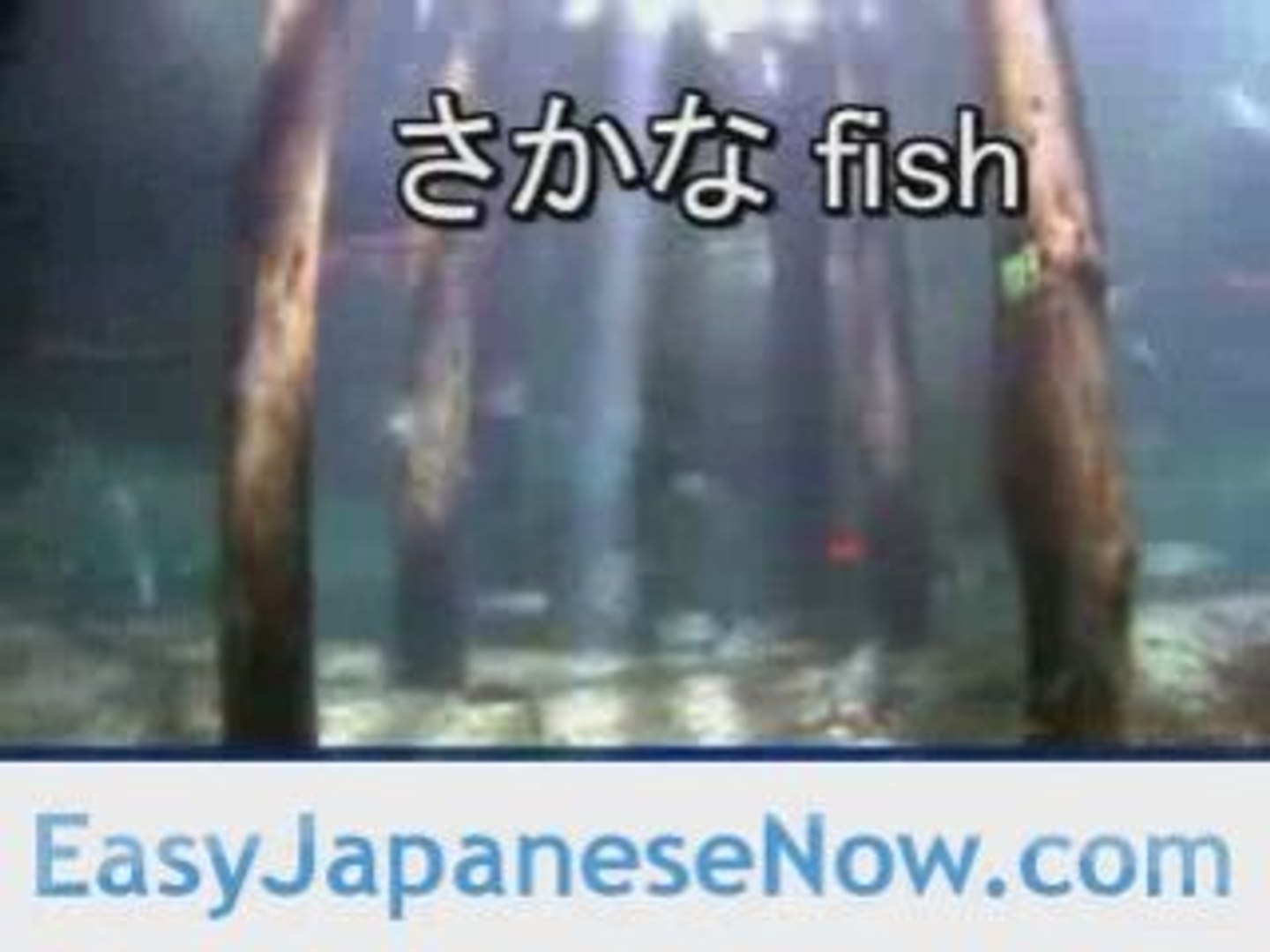 ⁣Learn Japanese | Japanese Word Frequency