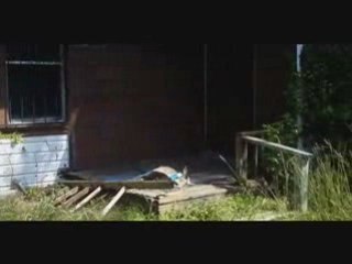 San Antonio Investment Property Perfect For A Flip Or Rental