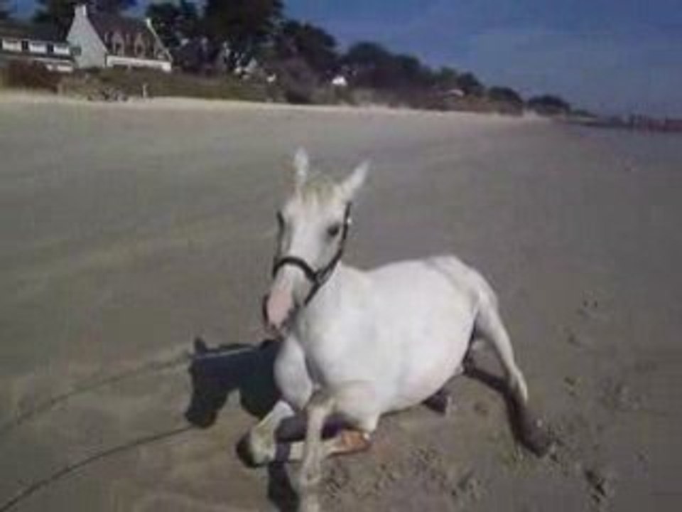 Plage roulade Tita