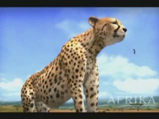 Vidéotest Afrika ( PS3 )