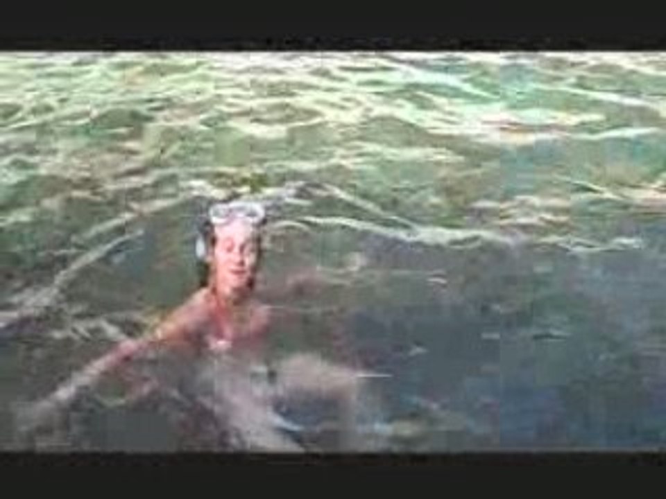 BDS 2008 2ème partie