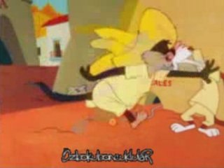 Zibidi gonzales 1