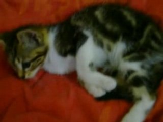 Thuan qui joue tout seul