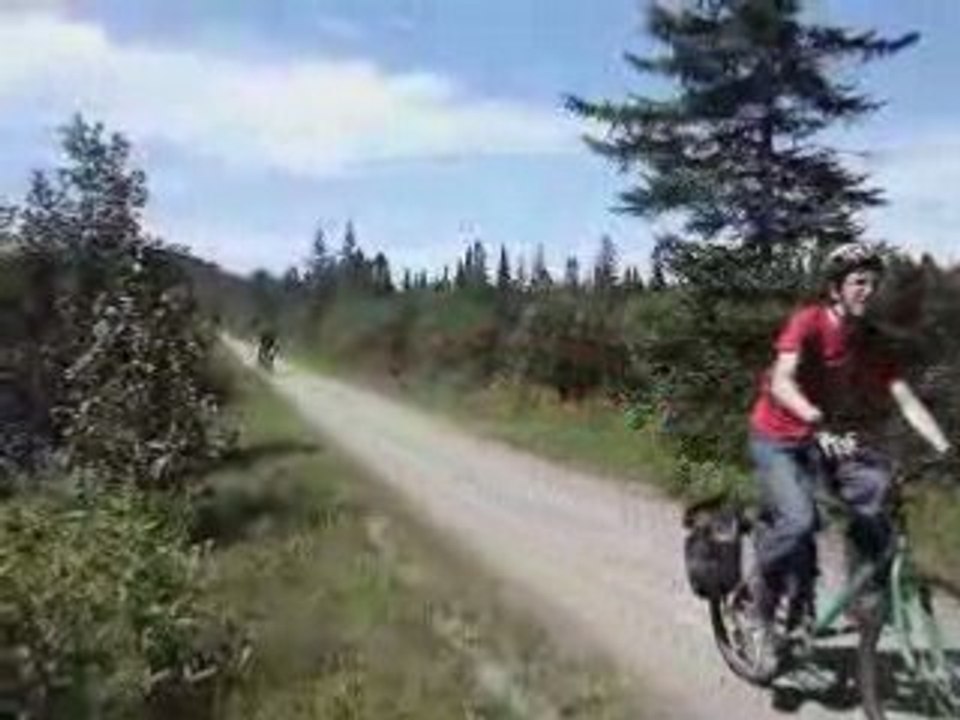 17e Troupe des Aventuriers en camp d'été