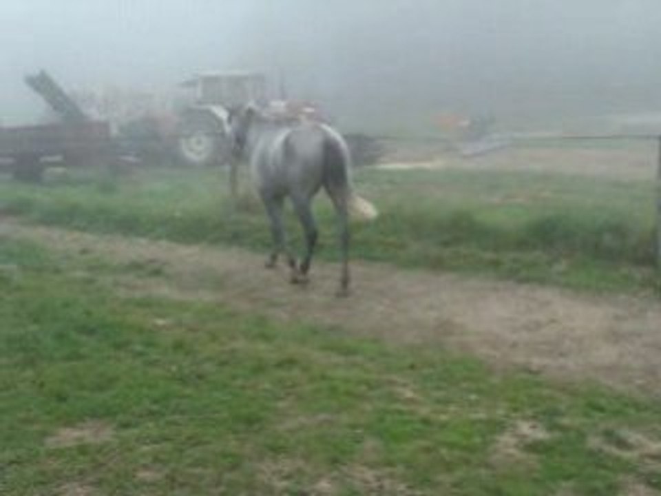 Quiero au pré, 1er jour.