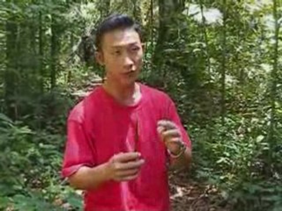 GUYANE (SIFFLETS EN BAMBOU)