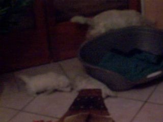 MOMENT DE JEUX AVEC MAMAN