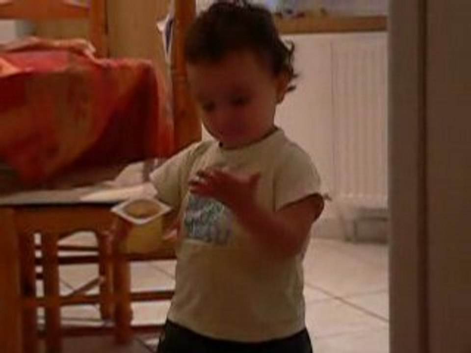 The cook-yaourt