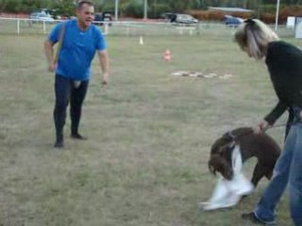 MORDANT ZEUS 4 MOIS SEPT 08