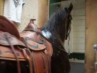 cheval en résine 8000 € TEL 0650668227