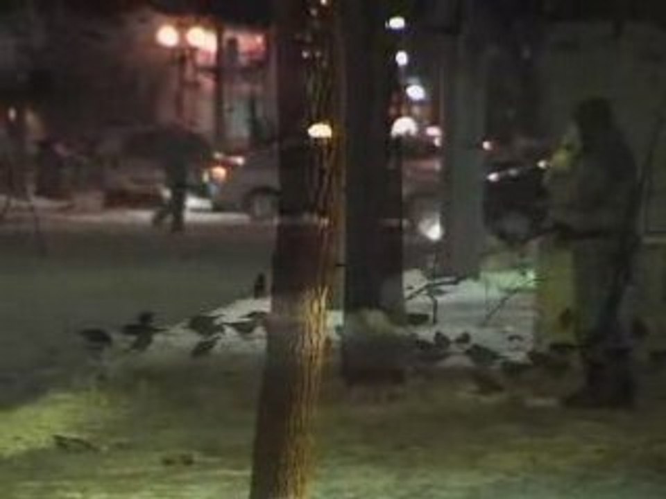 500 Mile Halo - Let the Indians Scalp