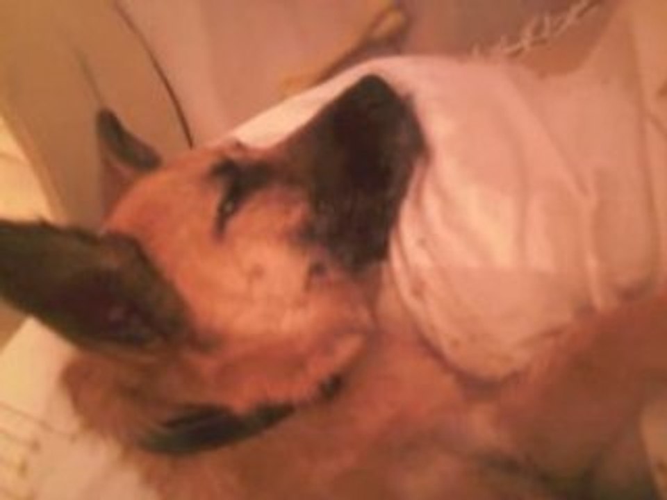 cassie dort....