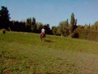 Julien au trot sur titi