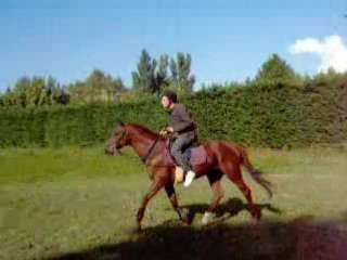 Xav sur titi au trot