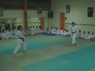 COC Karaté Cabestany Démo P.9