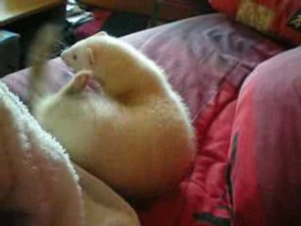 fufu