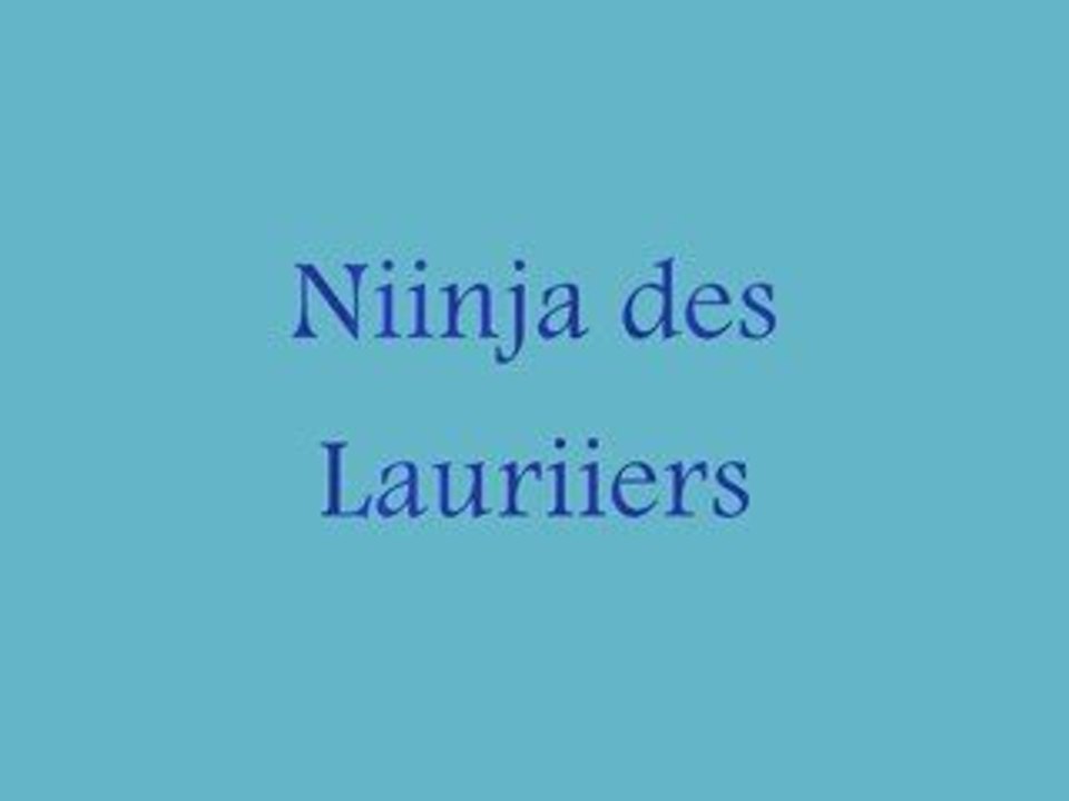 Nini