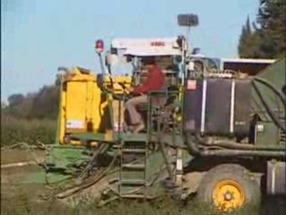 Recolte tomates 2008