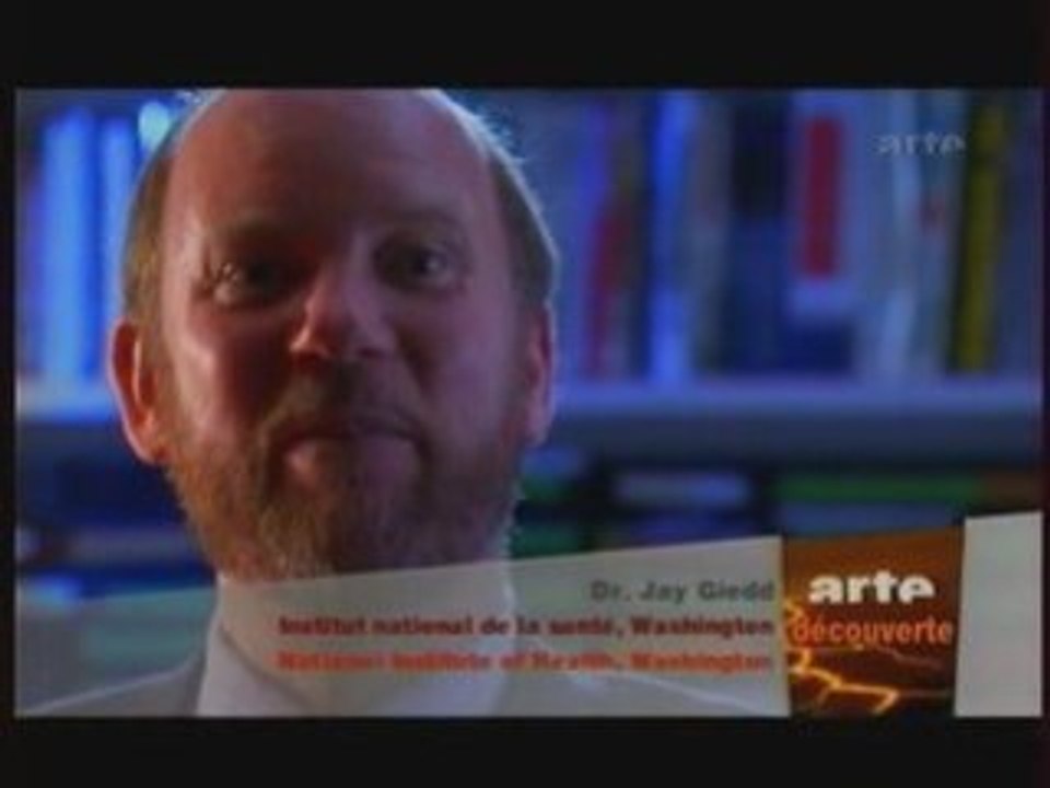 Le cerveau et les autistes surdoués (2)