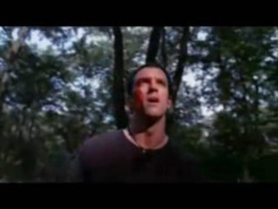 Timber Falls trailer