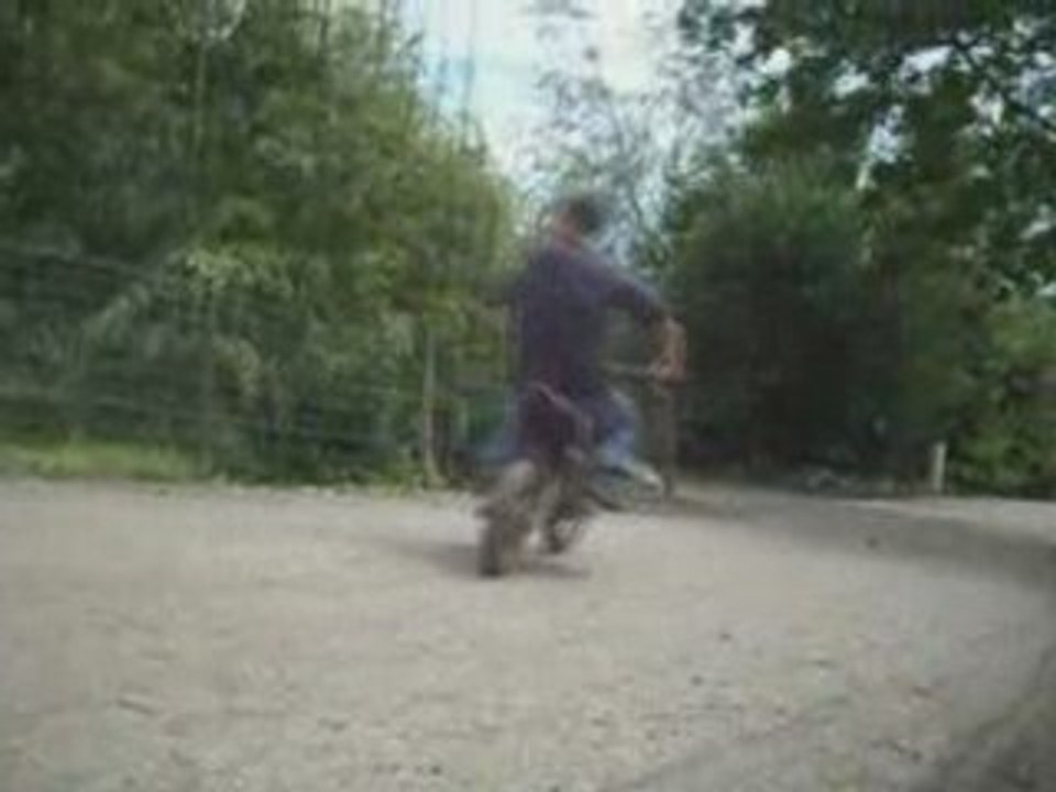 Bande anonce the vid's