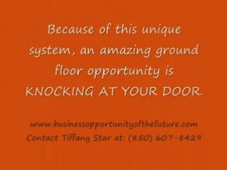 MLM Business Opportunity