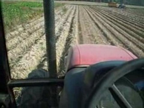 Arrachage Pomme de Terre 3