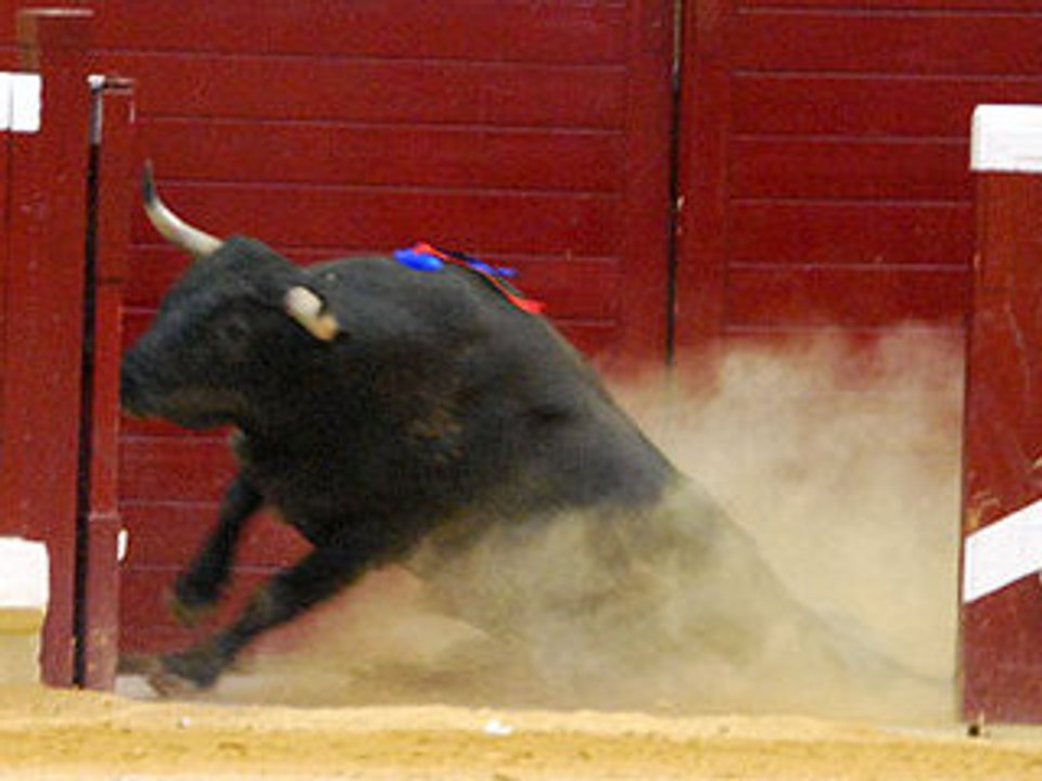 Logroño, 26 Septiembre