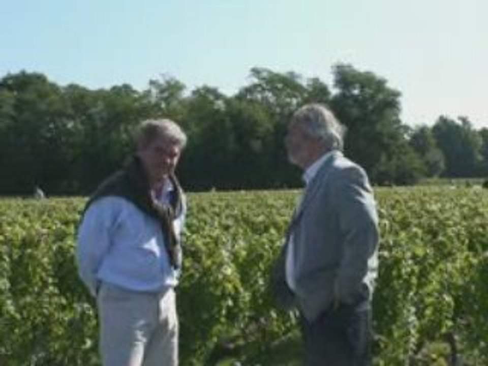 LE POINT SUR LES VENDANGES, Domaine de Chevalier, 26.09.08