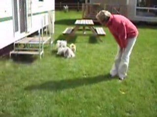 Cocoon, Valentine et Eliot