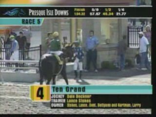 Best Racehorse Thoroughbreds of 2008