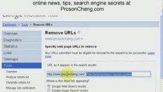 Search Engine secrets - Remove indexed web pages from google